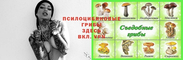 герыч Магас