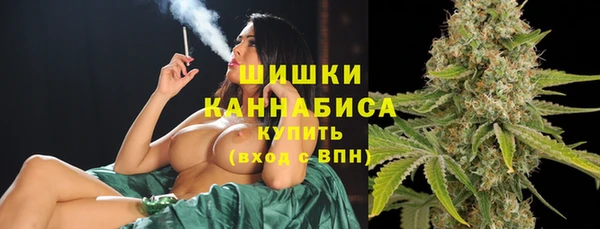 дживик Болхов