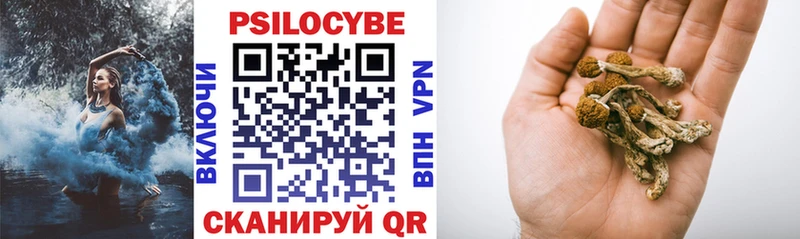 Галлюциногенные грибы мицелий  закладка  Сланцы 