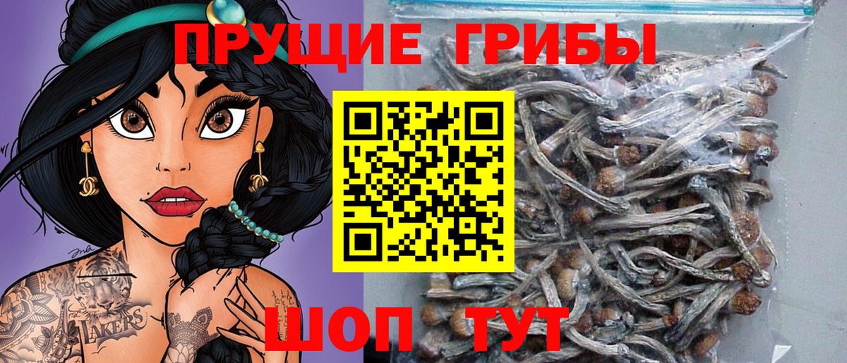 Канабис  Сланцы  Меф МЯУ МЯУ кристаллы  НБОМе  Вход с VPN  ГАШИШ  ЭКСТАЗИ 