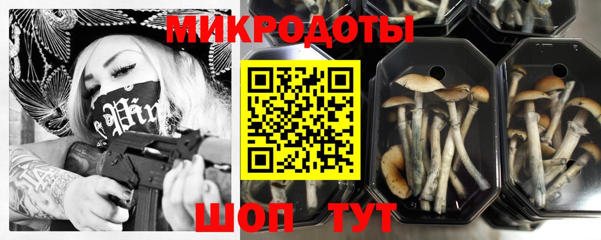 Галлюциногенные грибы Psilocybe Сланцы
