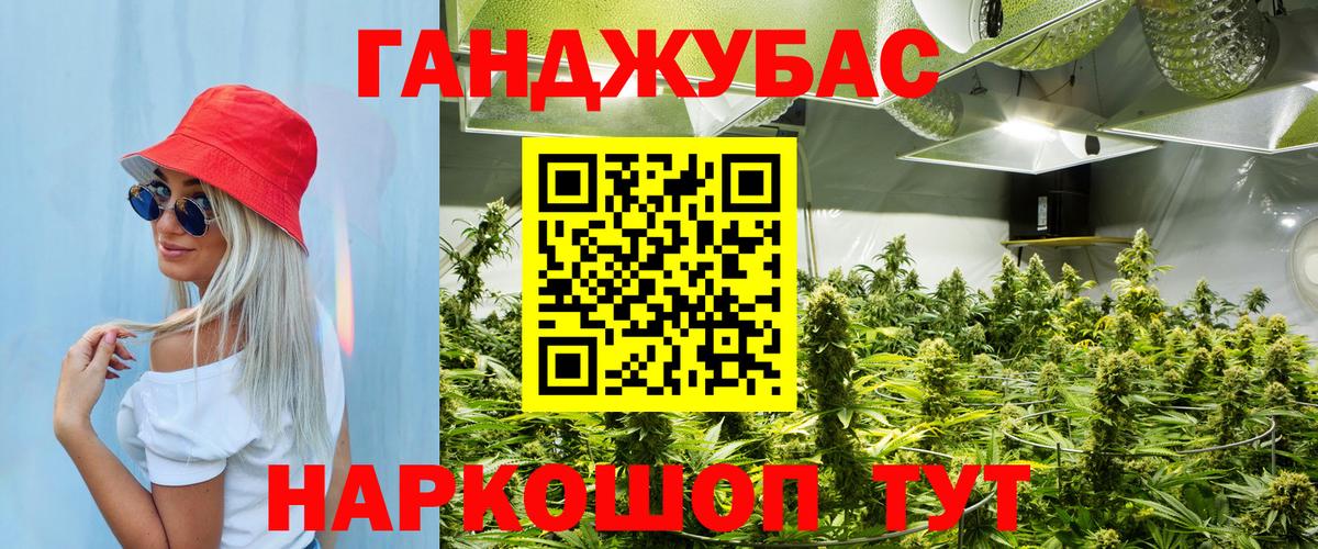 Марихуана марихуана  Канабис сатива  Каннабис гибрид  Сланцы  Вход с VPN  МАРИХУАНА марихуана 
